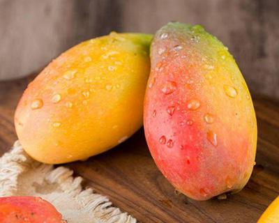 芒果加工蘑菇视频黄色版