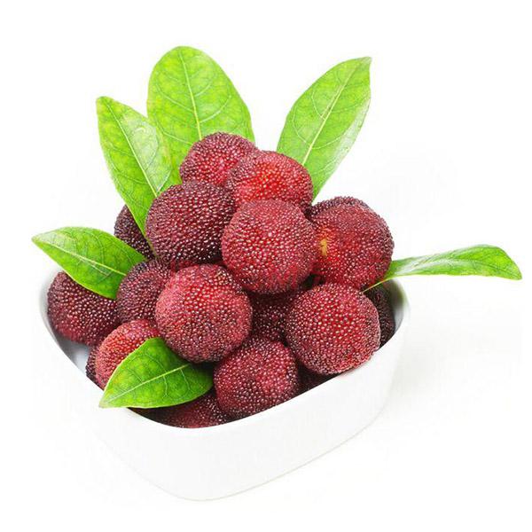 楊梅蘑菇视频黄色版