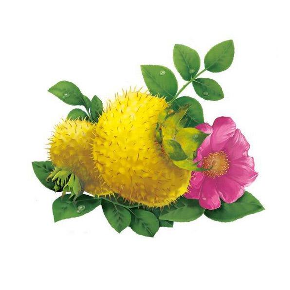 刺梨帶榨蘑菇视频黄色版