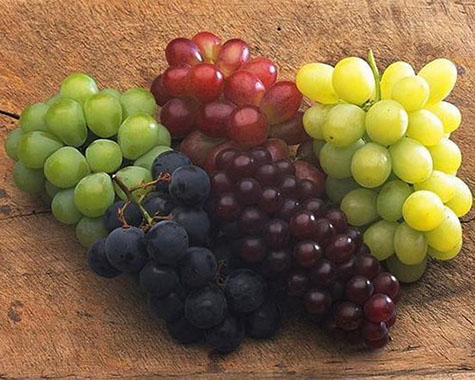 葡萄加工蘑菇视频黄色版