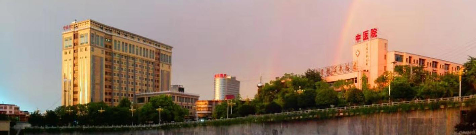 Banner1